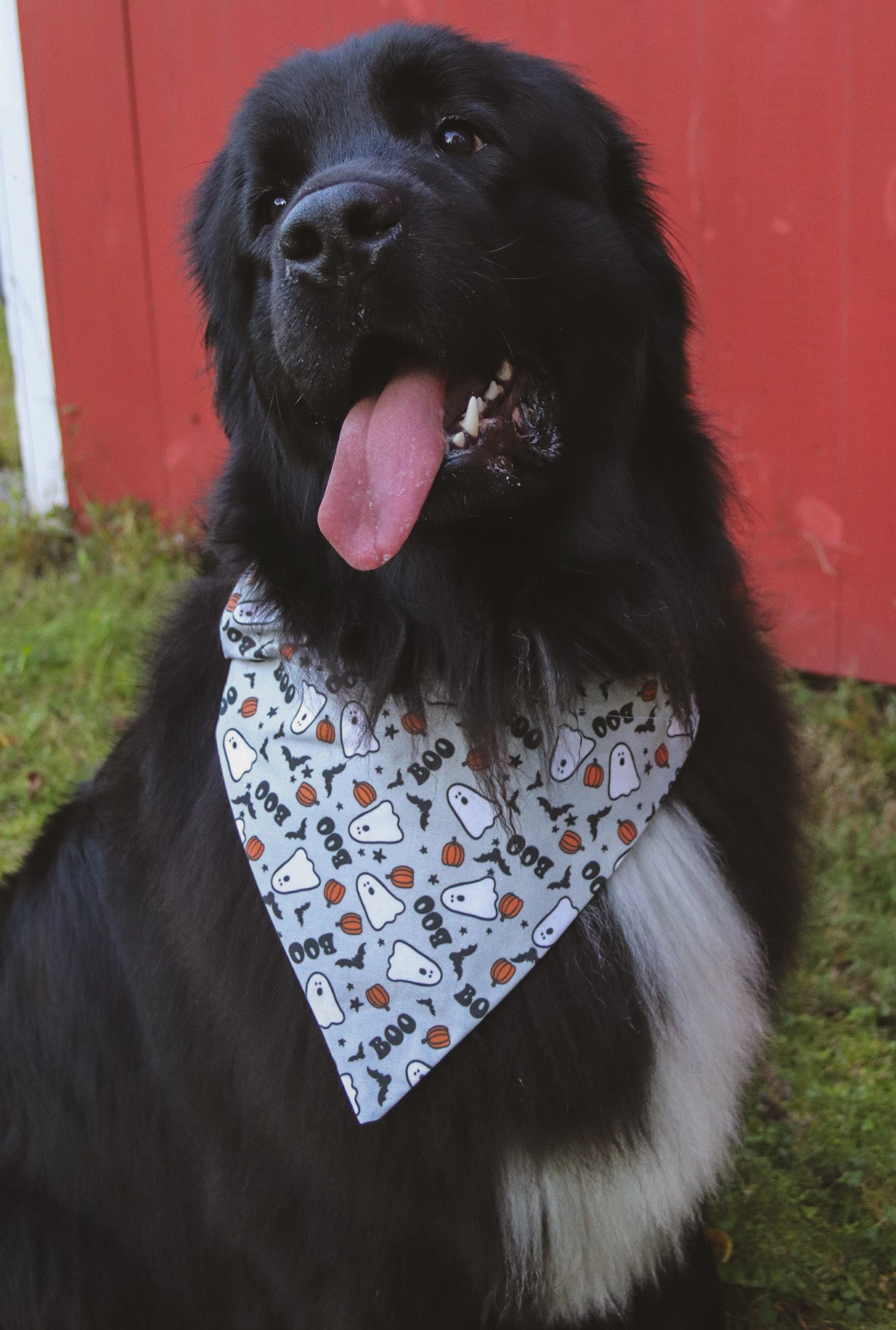 Boo Ghost Bandana