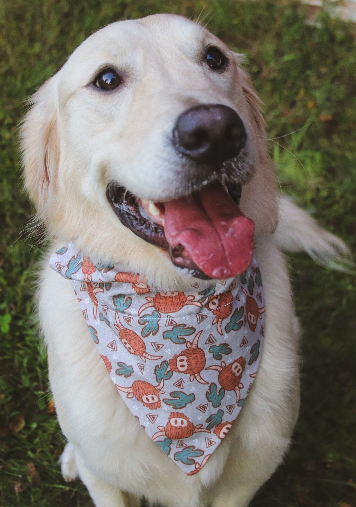 Longhorn Cow Bandana