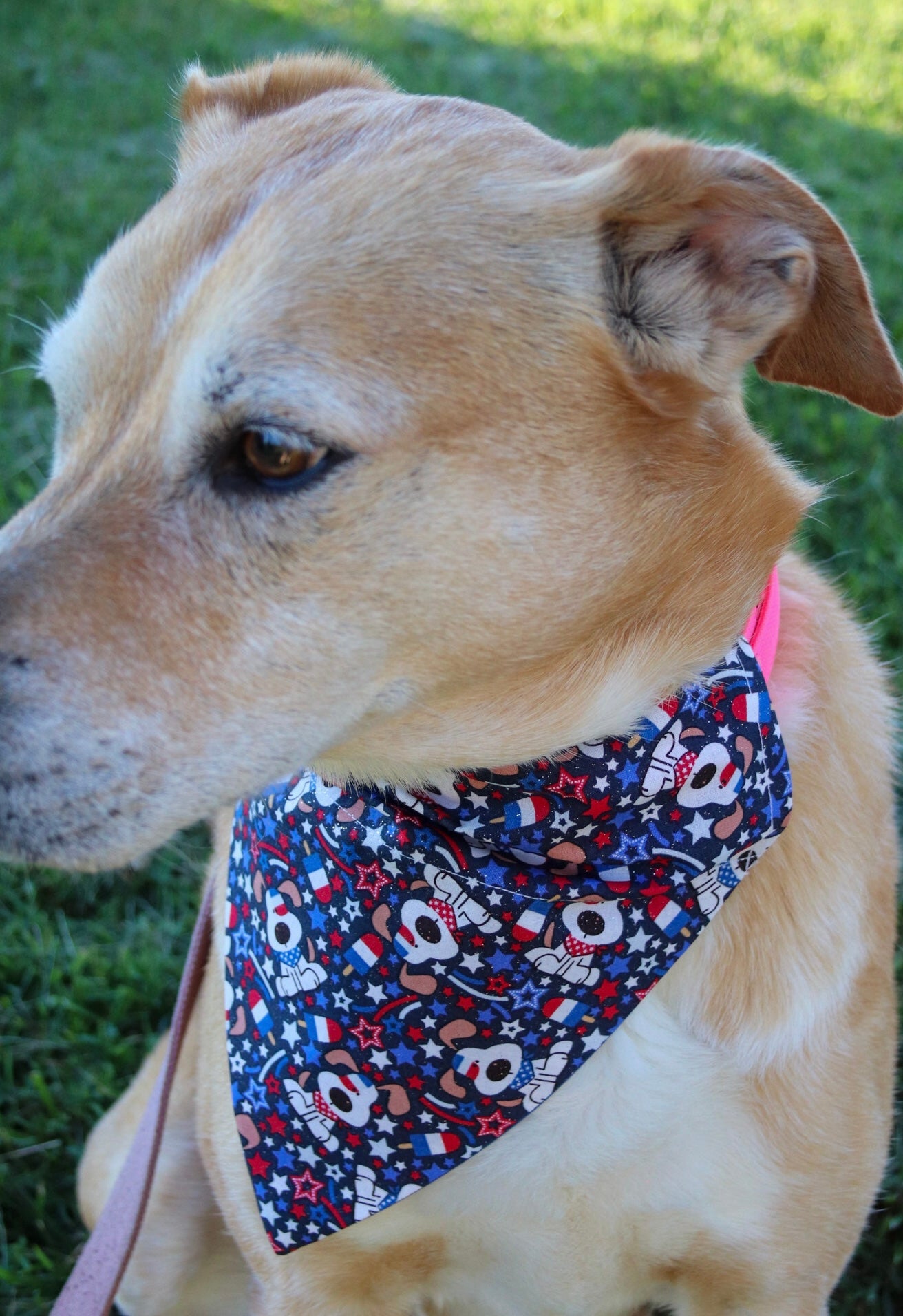 Popsicle Glitter Dog Bandana