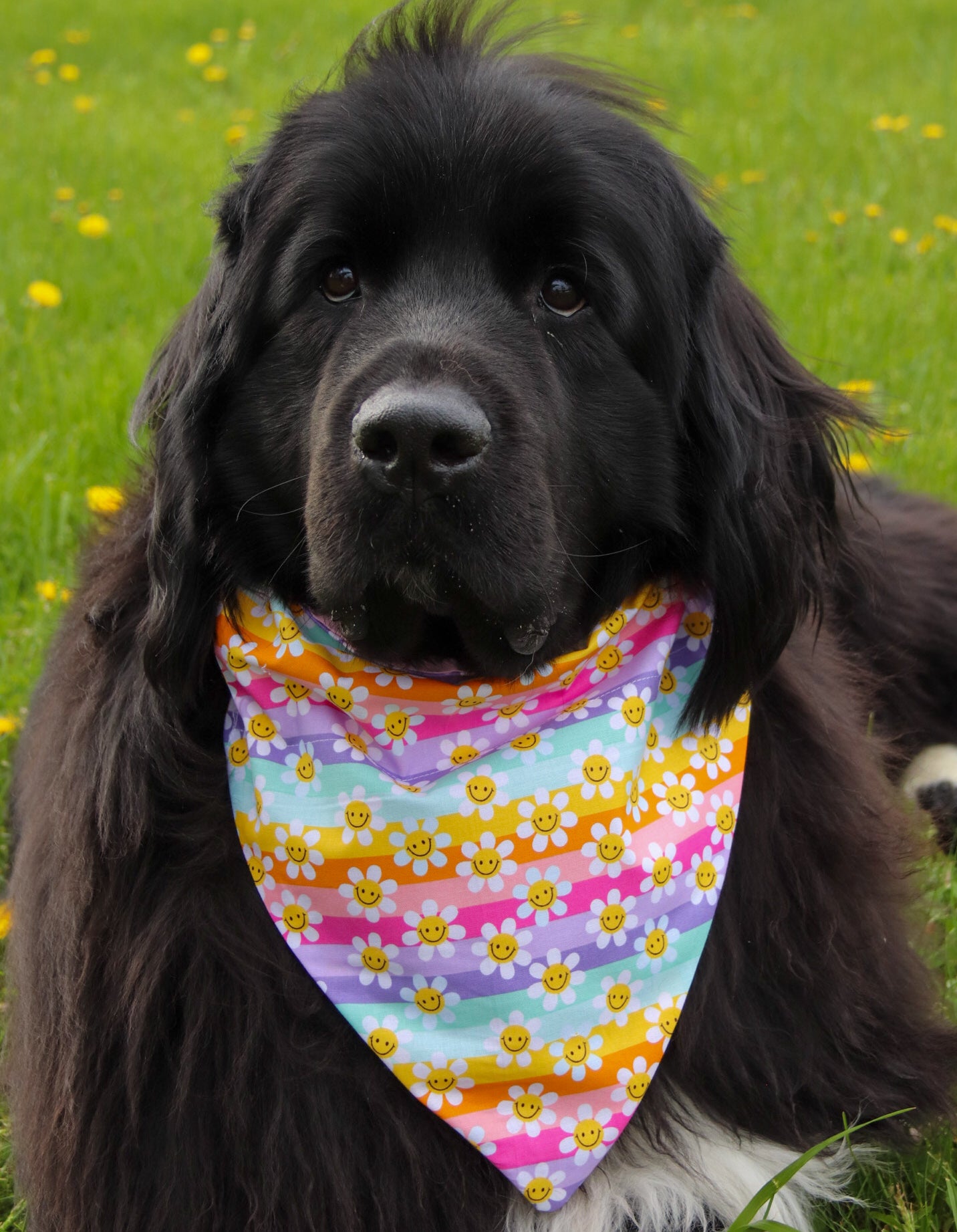 Rainbow Floral Smiley Bandana