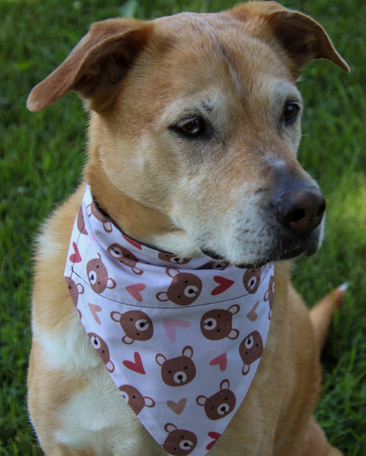 Heart Bear Bandana