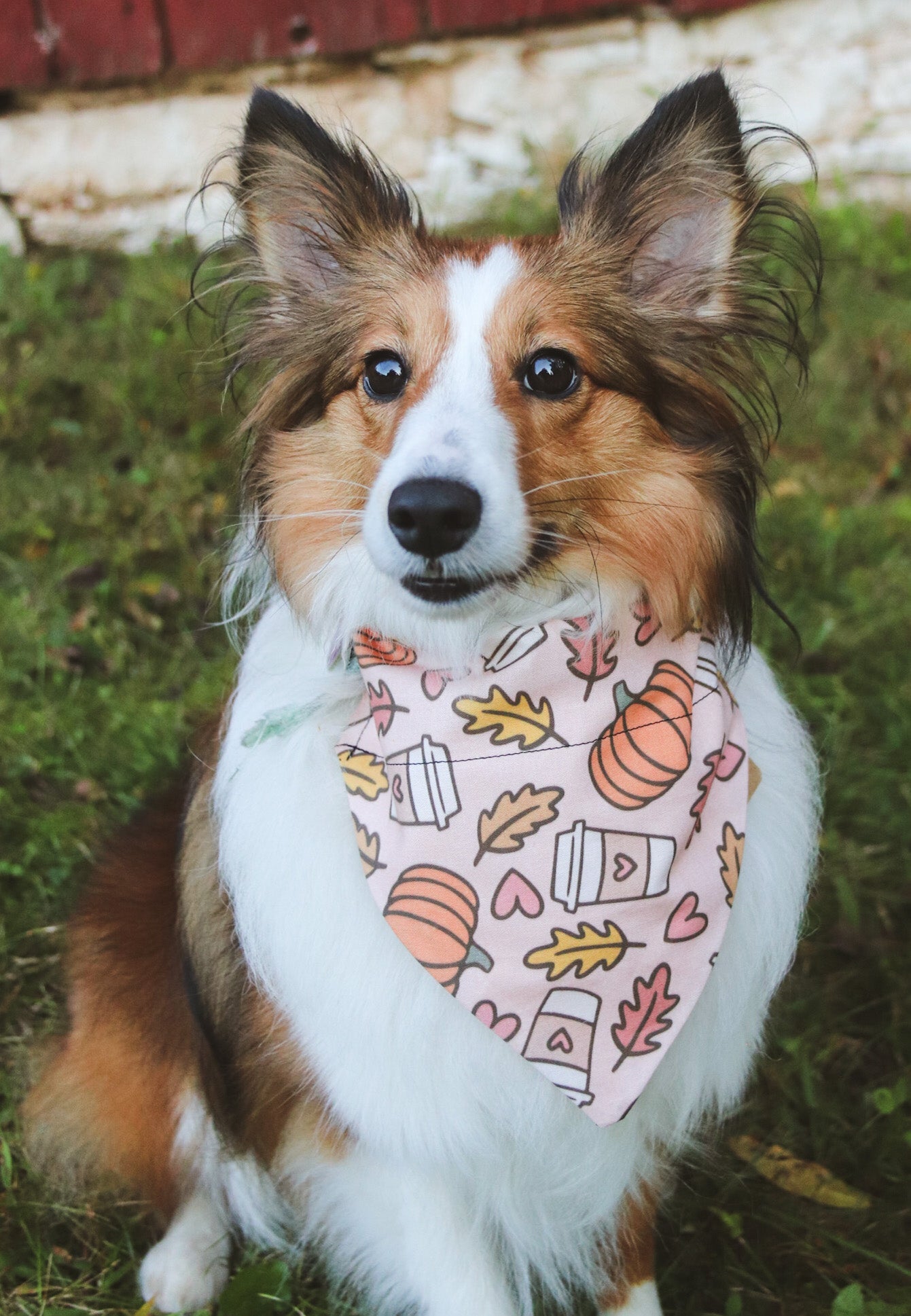 Fall Coffee/Pumpkin/Leaves Bandana