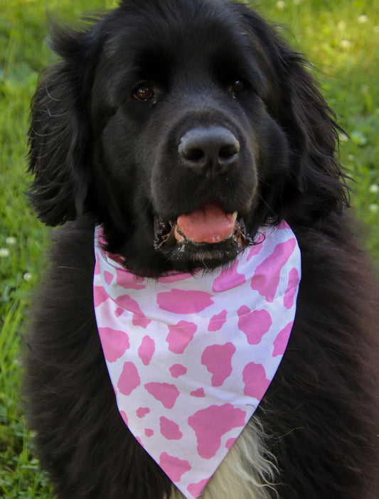 Pink Cow Print Bandana