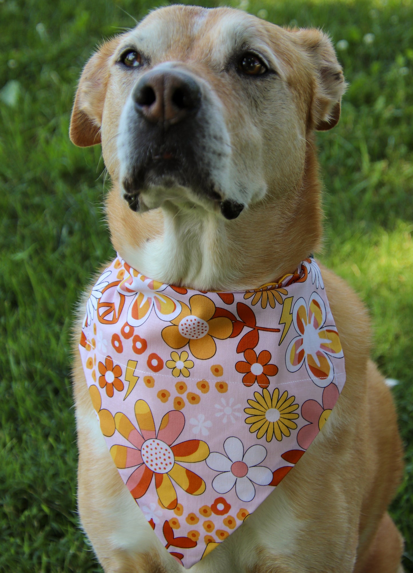 Groovy Peace Bandana