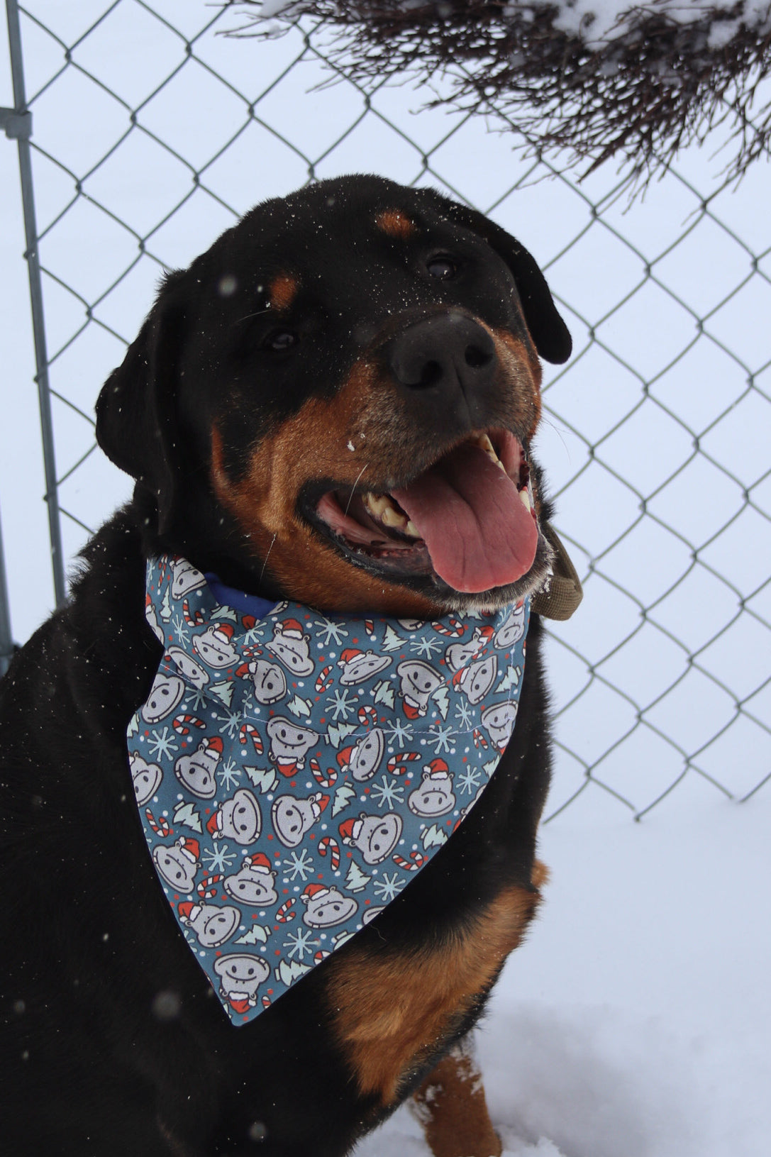 Hippopotamus Christmas Bandana