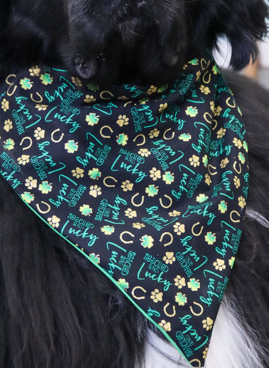 “Lucky and Rescued” Shamrock Bandana