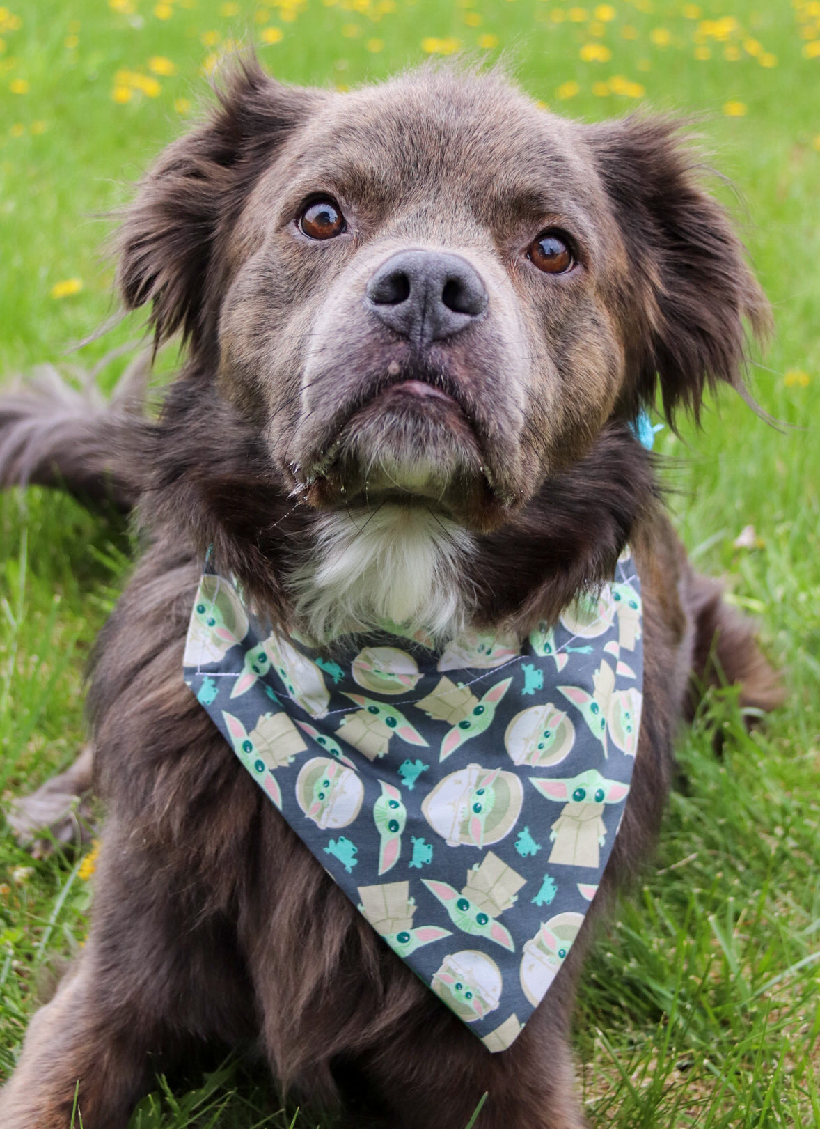 Baby Yoda Bandana