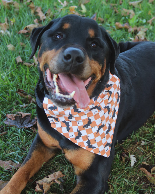 Orange Checkered Bat Bandana