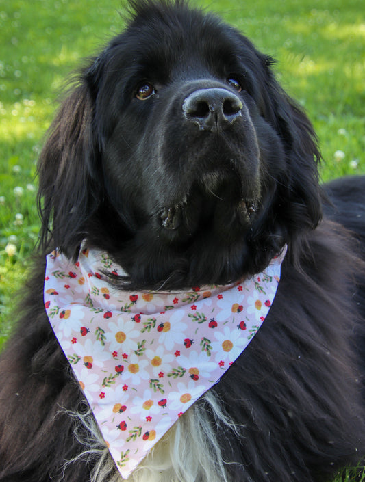 Daisies & Ladybugs Bandana