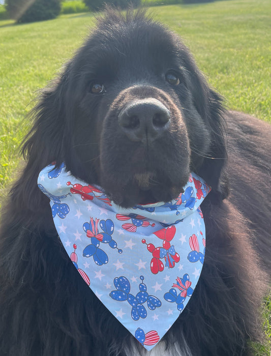 Balloon Dog Bandana