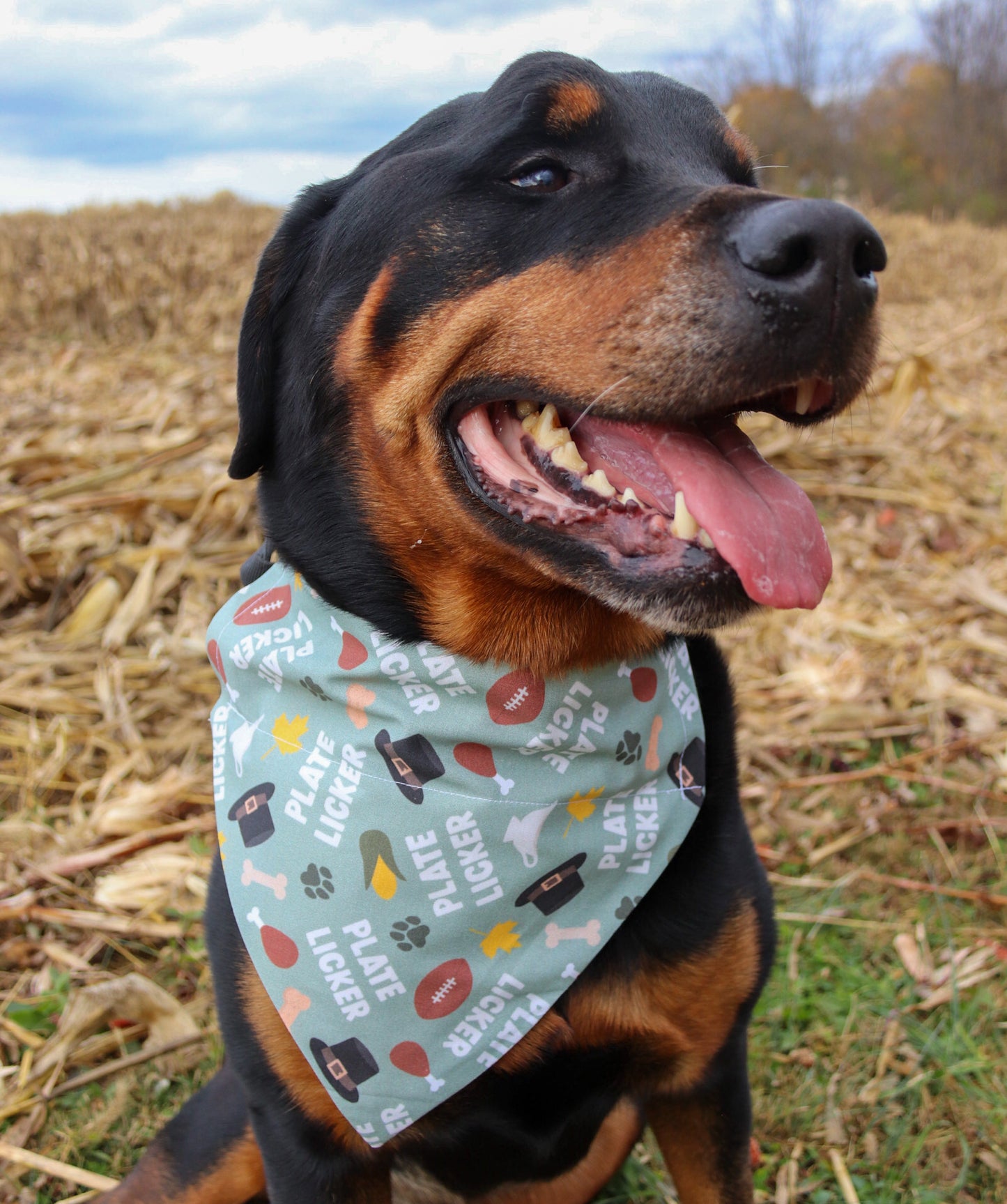 Thanksgiving “Plate Licker” Bandana