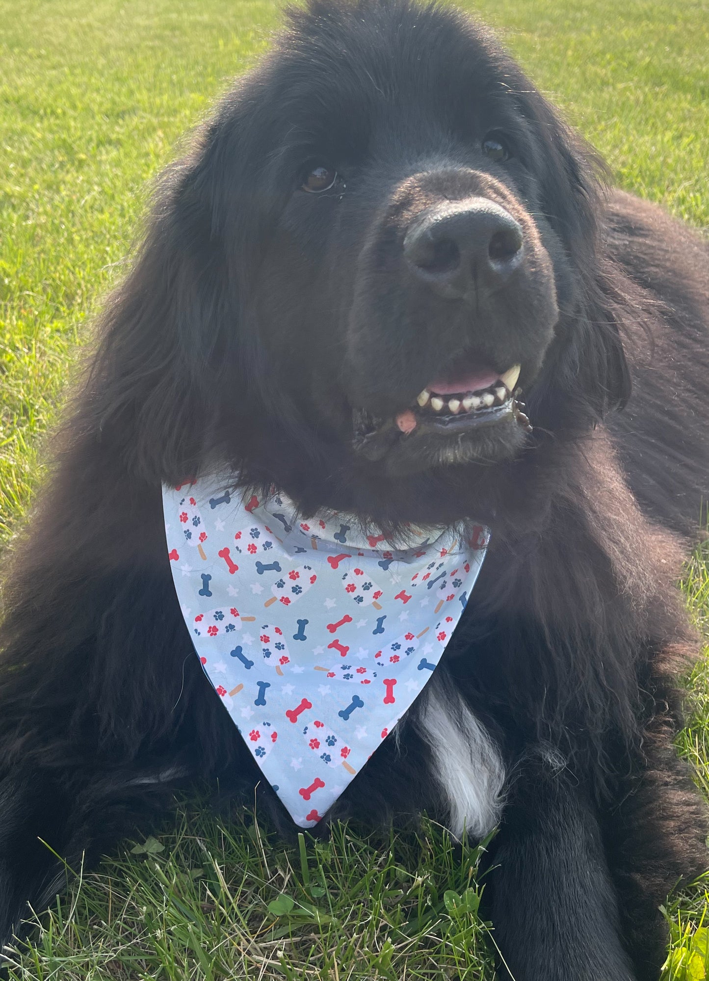 Pawprint Popsicle Bandana