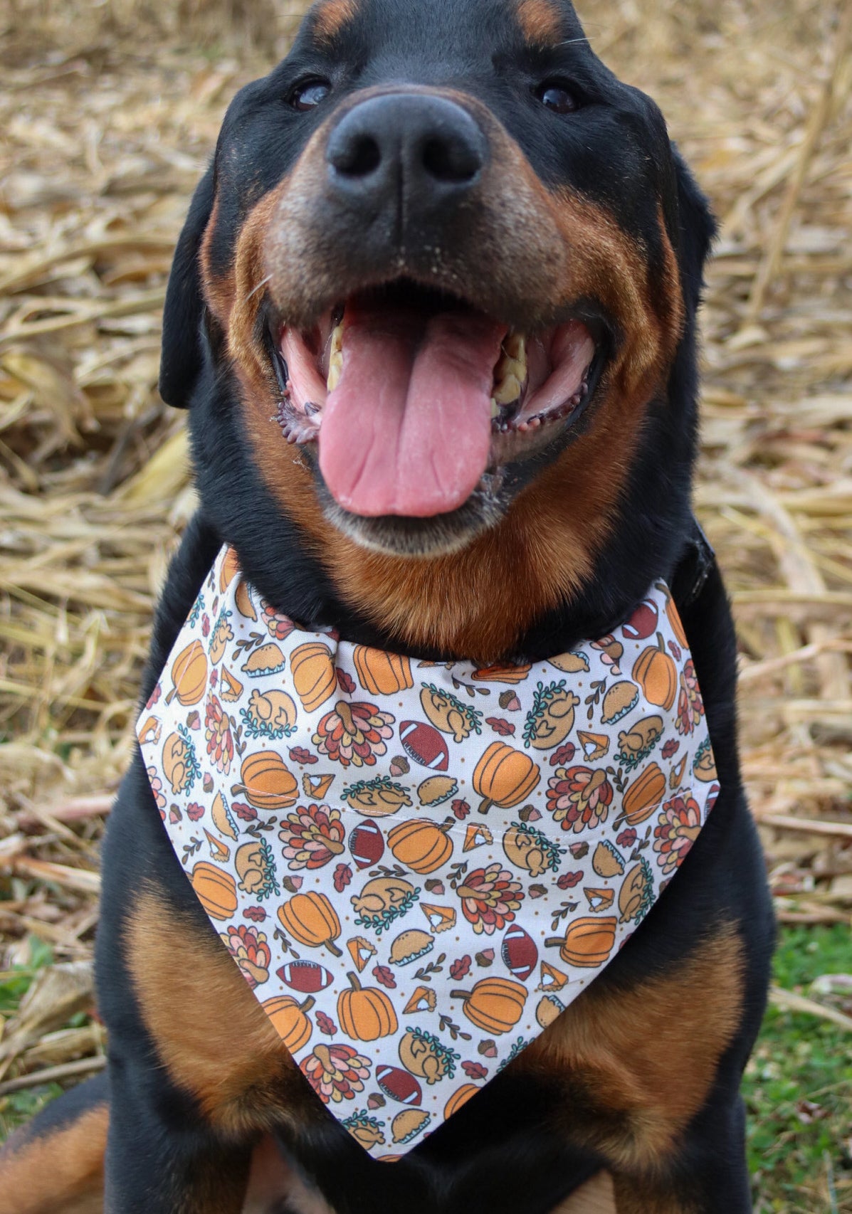 Turkey & Football Bandana