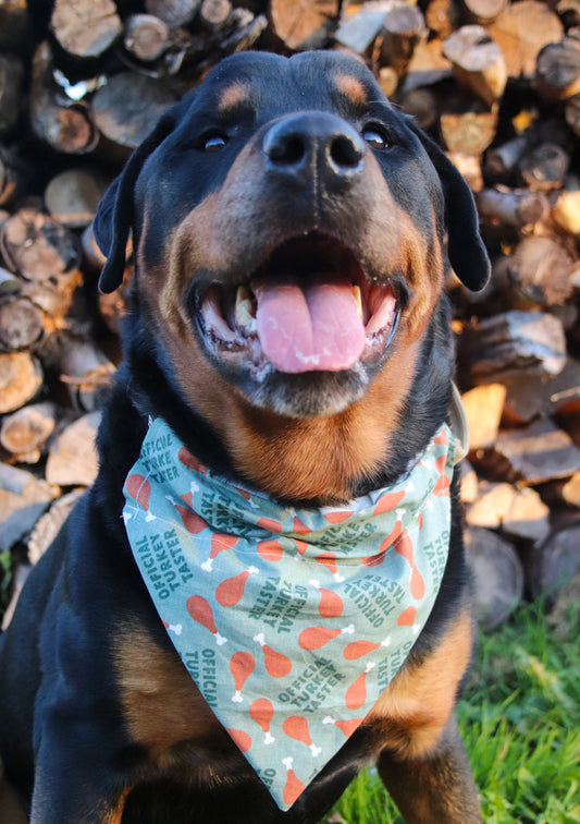 “Official Turkey Taster” Bandana