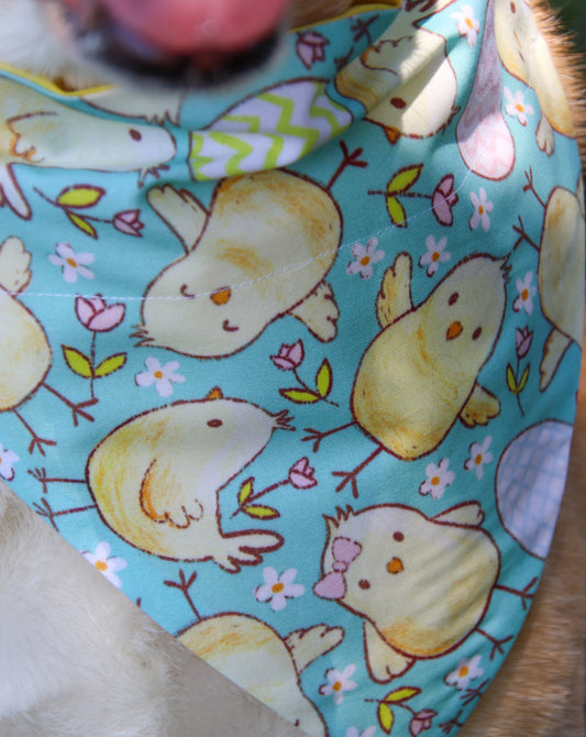 Chicks & Tulips Bandana