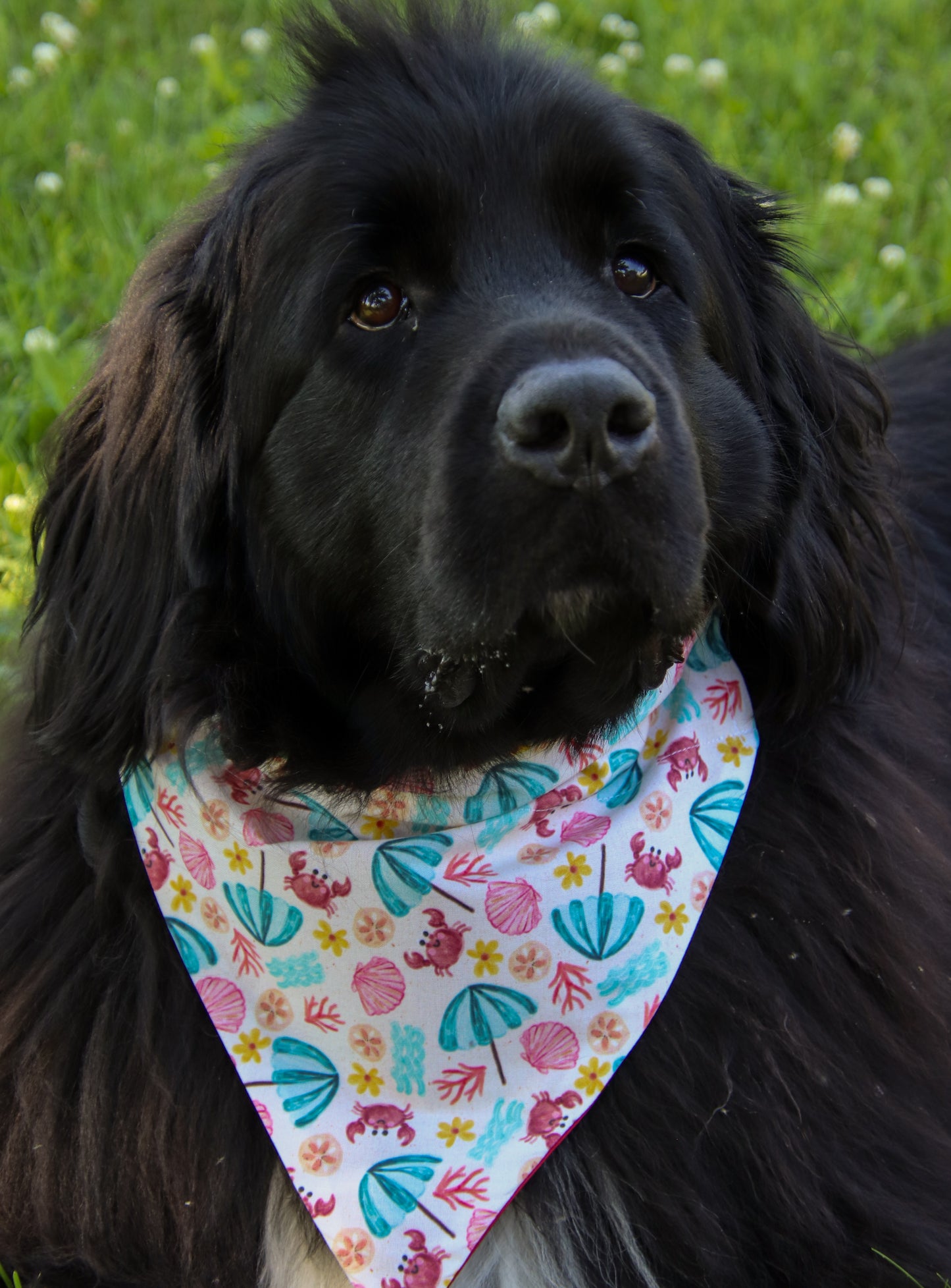 Seashell & Crab Bandana