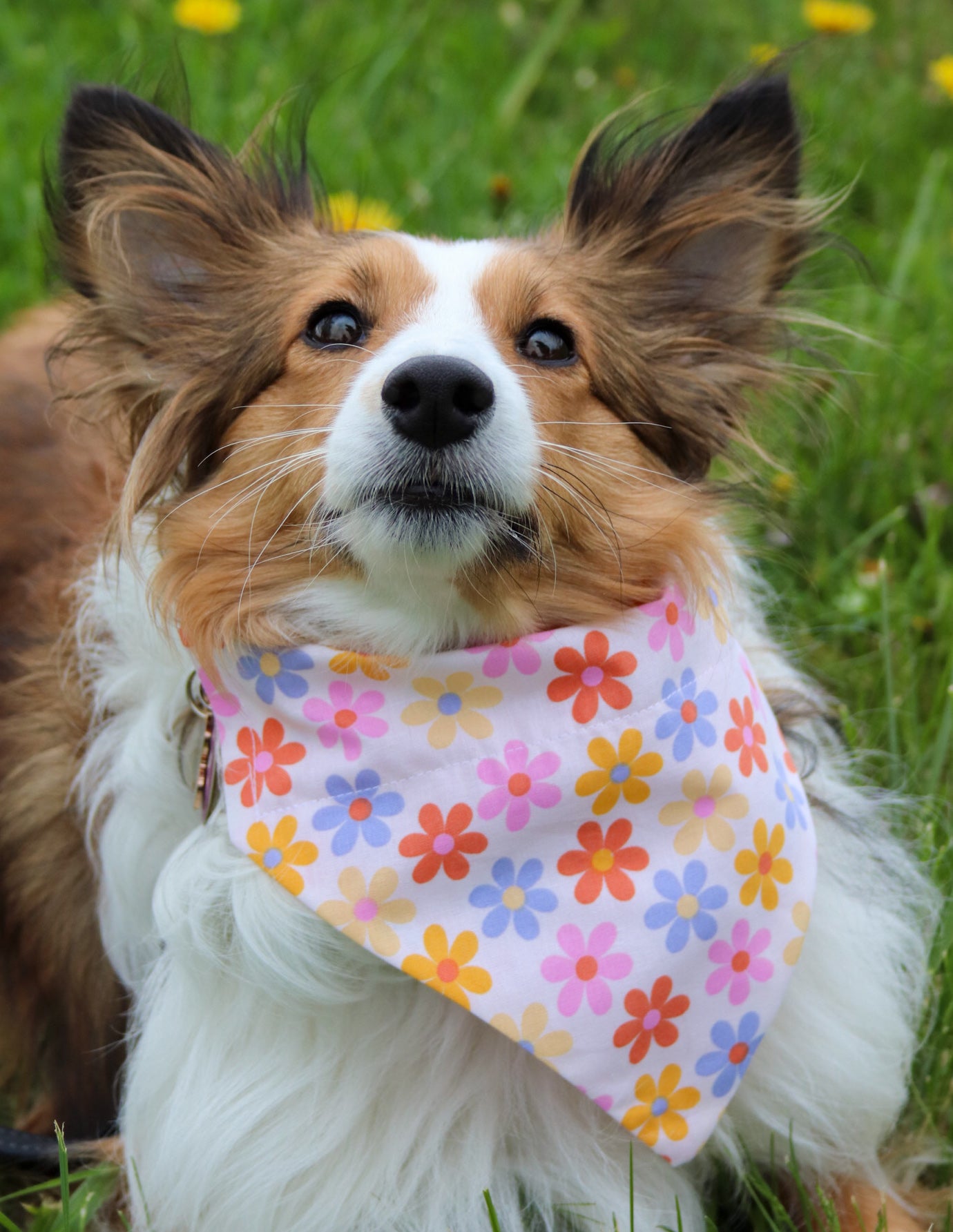 Summer Floral Bandana