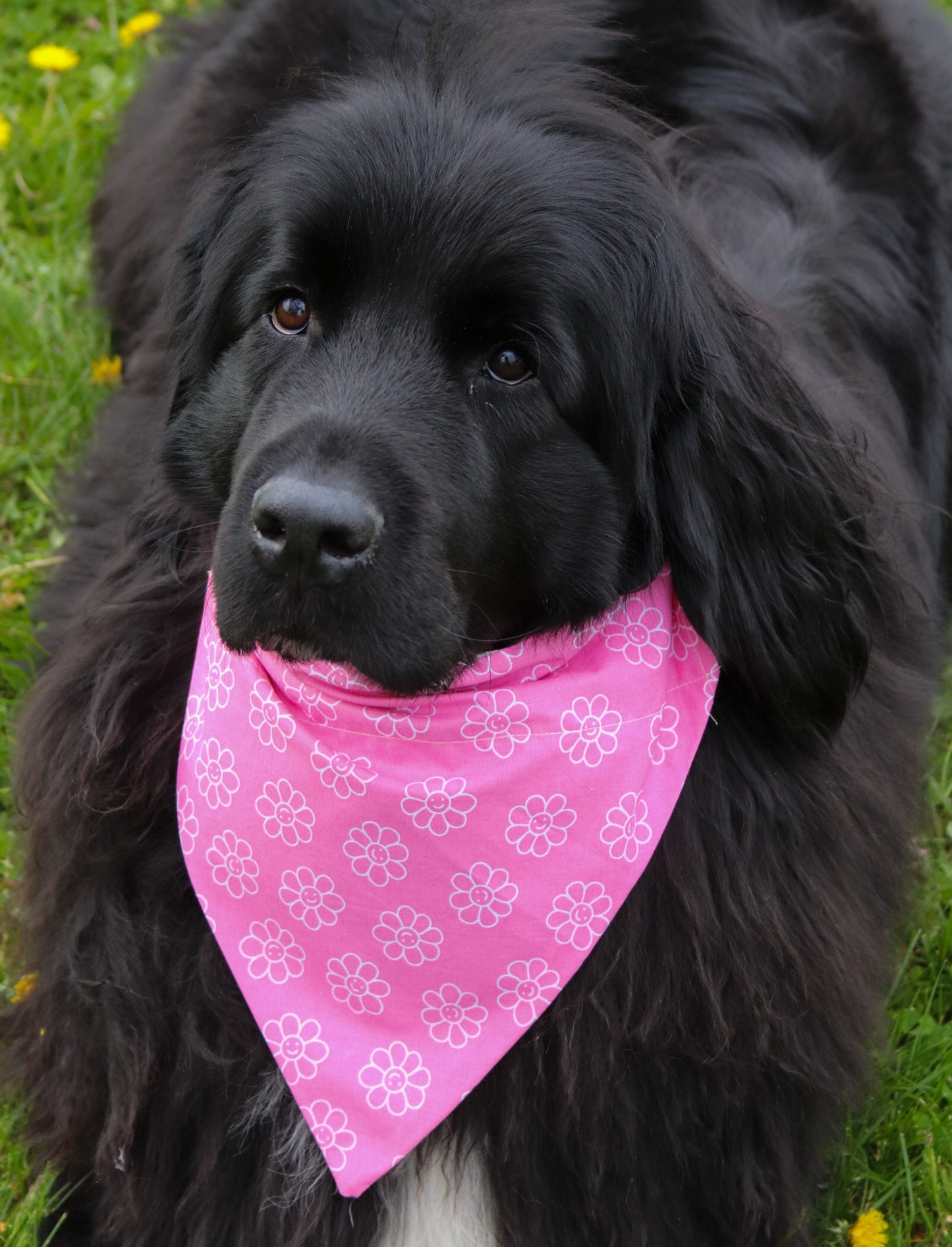 Floral Smiley Pink Bandana