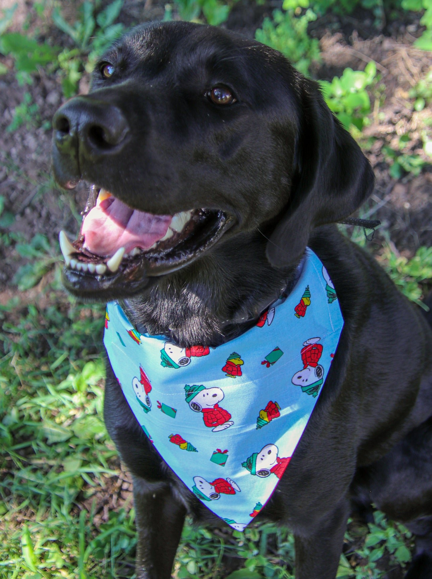 Snoopy Christmas Bandana