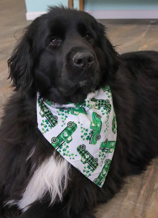 St. Patrick’s Day Truck Bandana