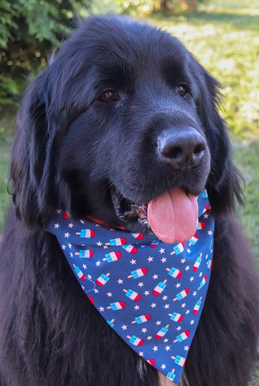 Popsicles & Stars Bandana