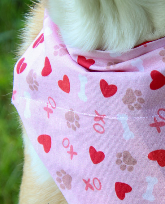XO Pawprint Bandana