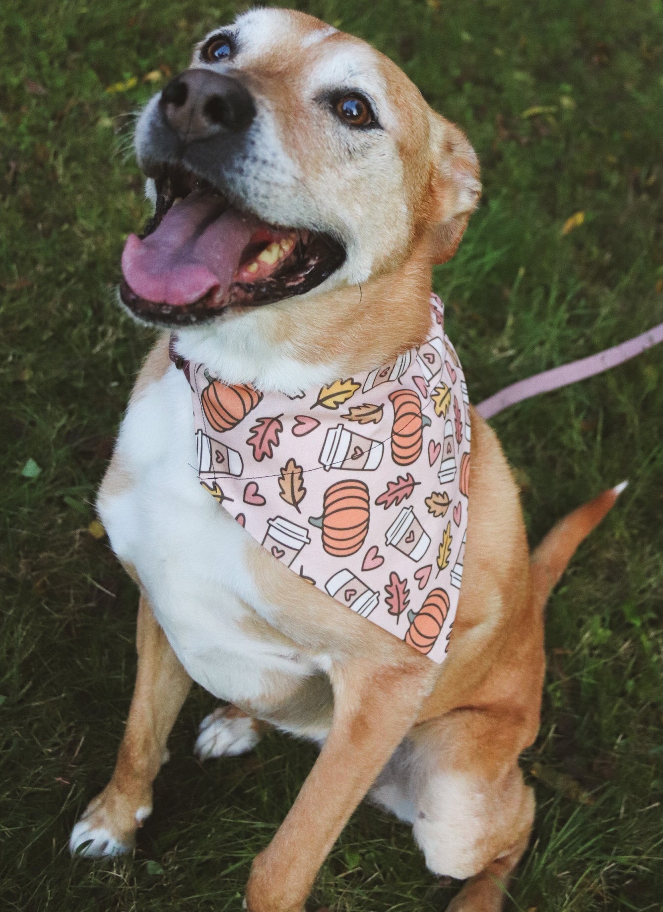 Fall Coffee/Pumpkin/Leaves Bandana
