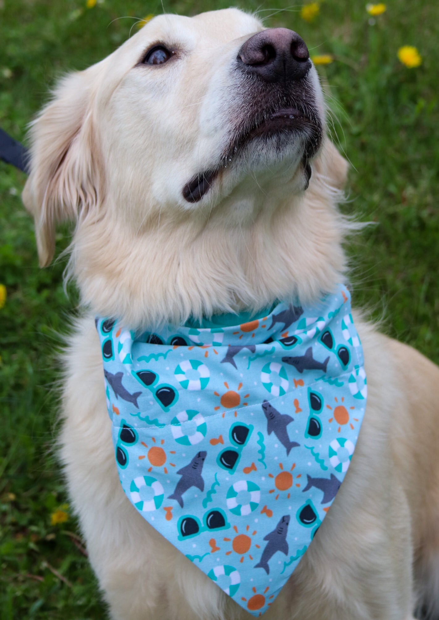 Beach Bandana