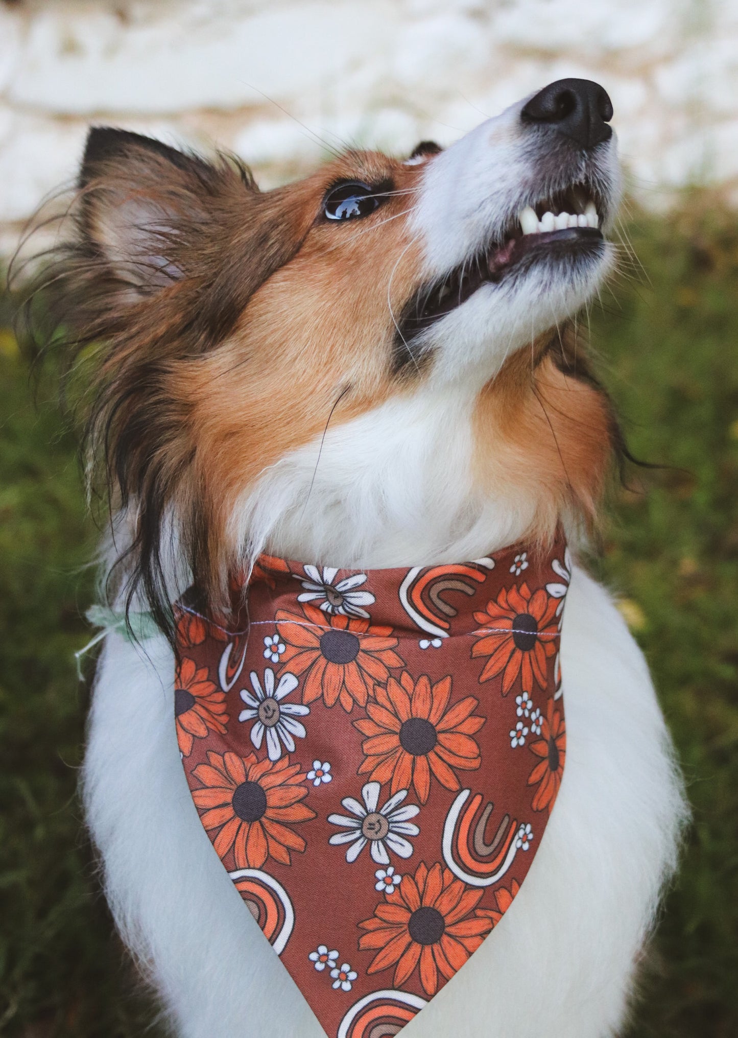 Sunflower & Rainbows Bandana