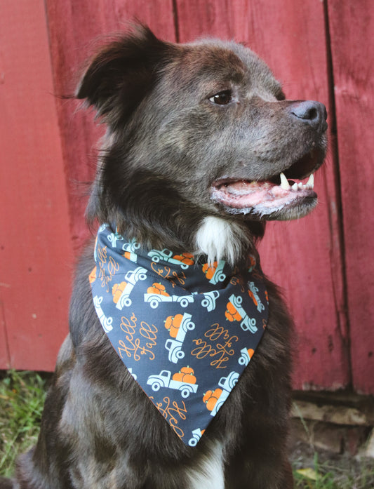 Hello Fall Truck Bandana