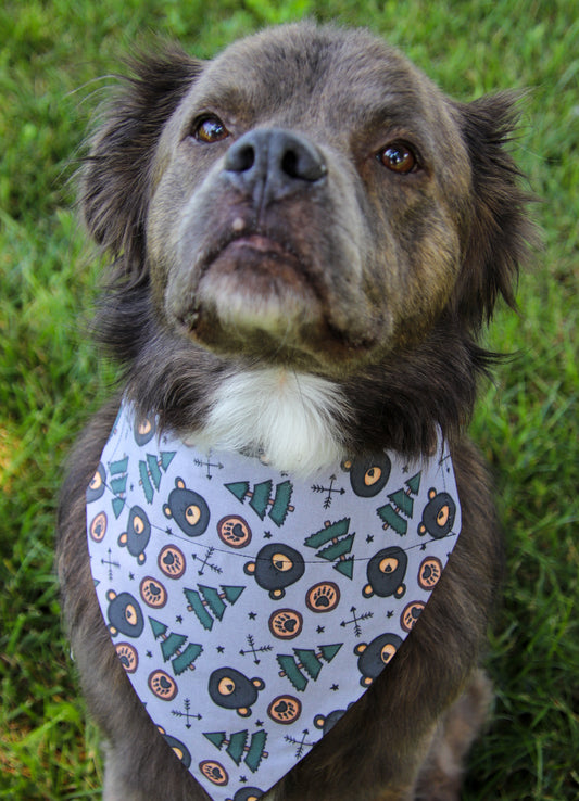Black Bear Bandana