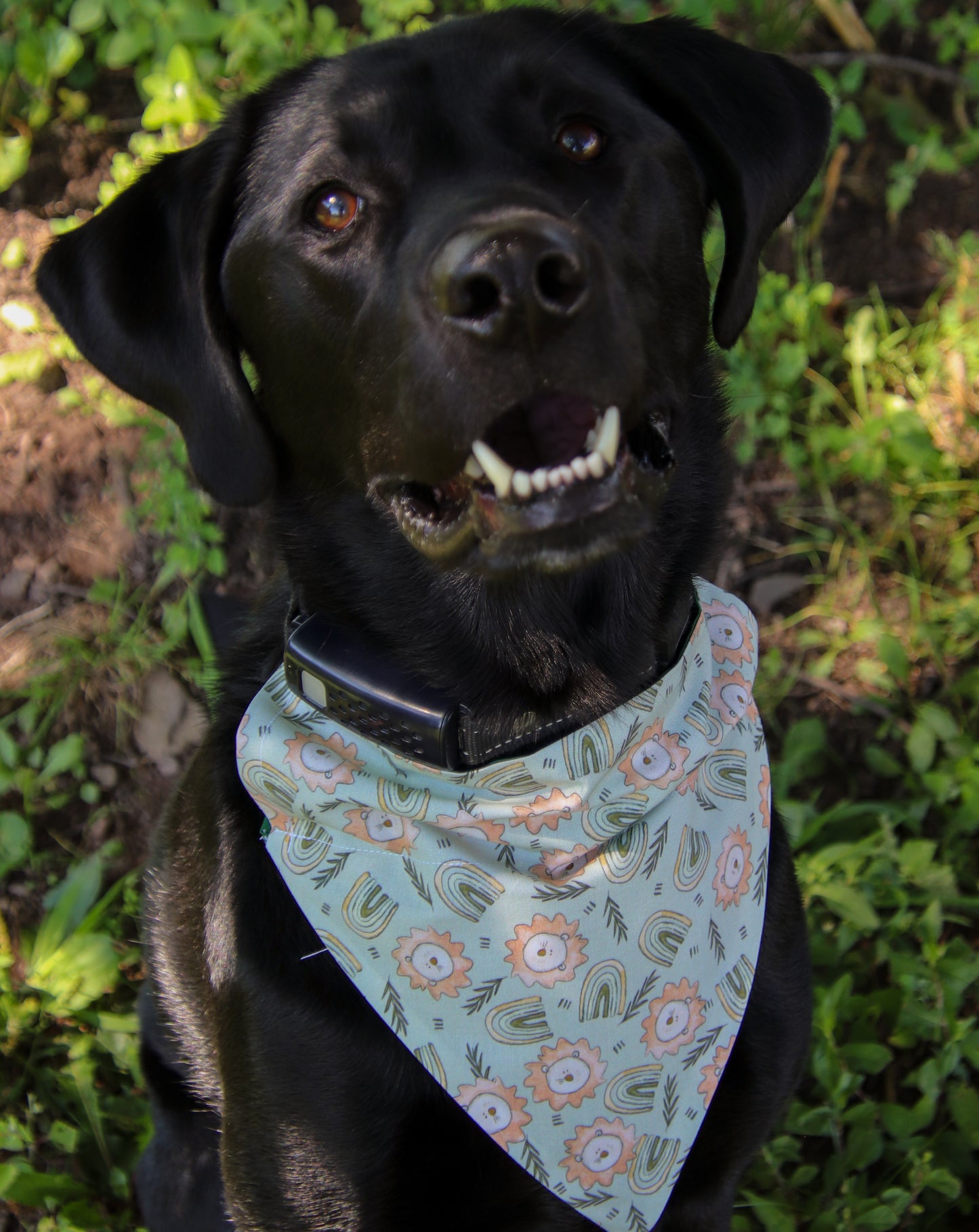 Lion Bandana