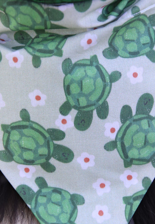 Turtle Bandana
