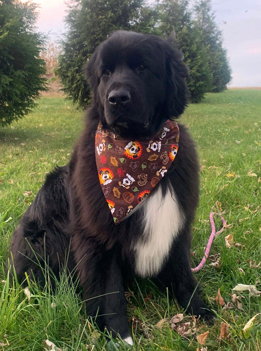 Turkey Dog Bandana