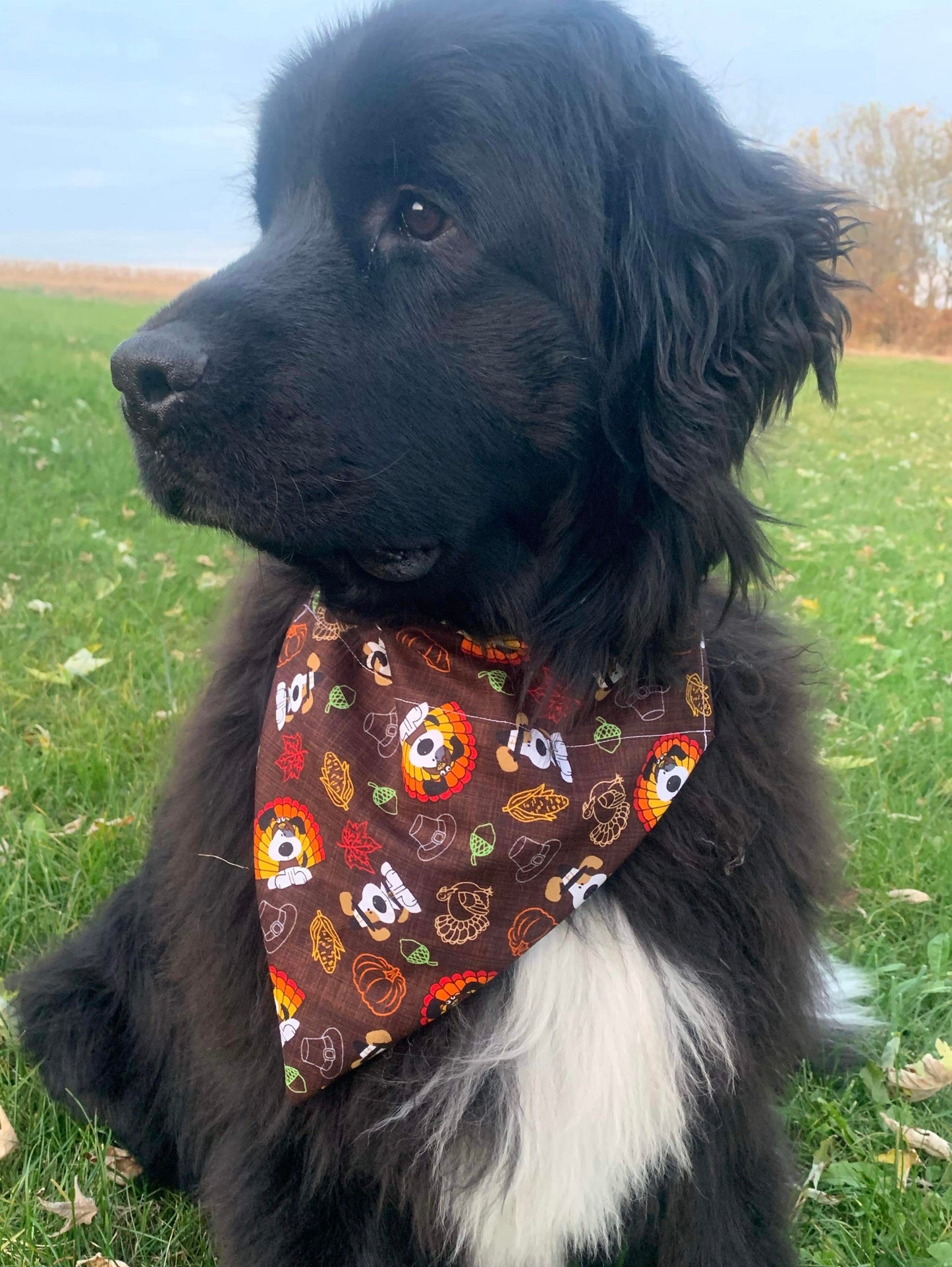 Turkey Dog Bandana