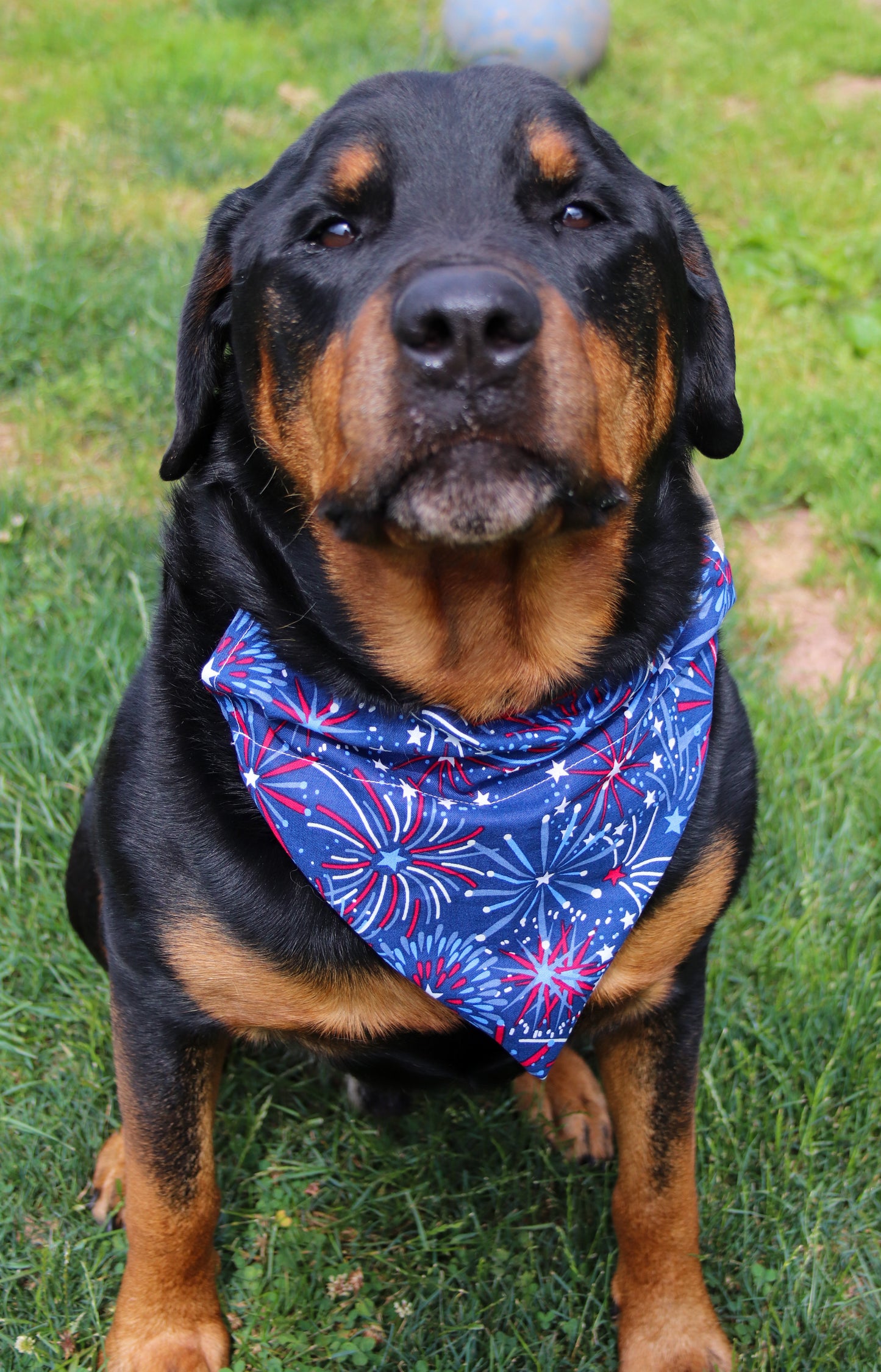 4th Of July Fireworks Bandana