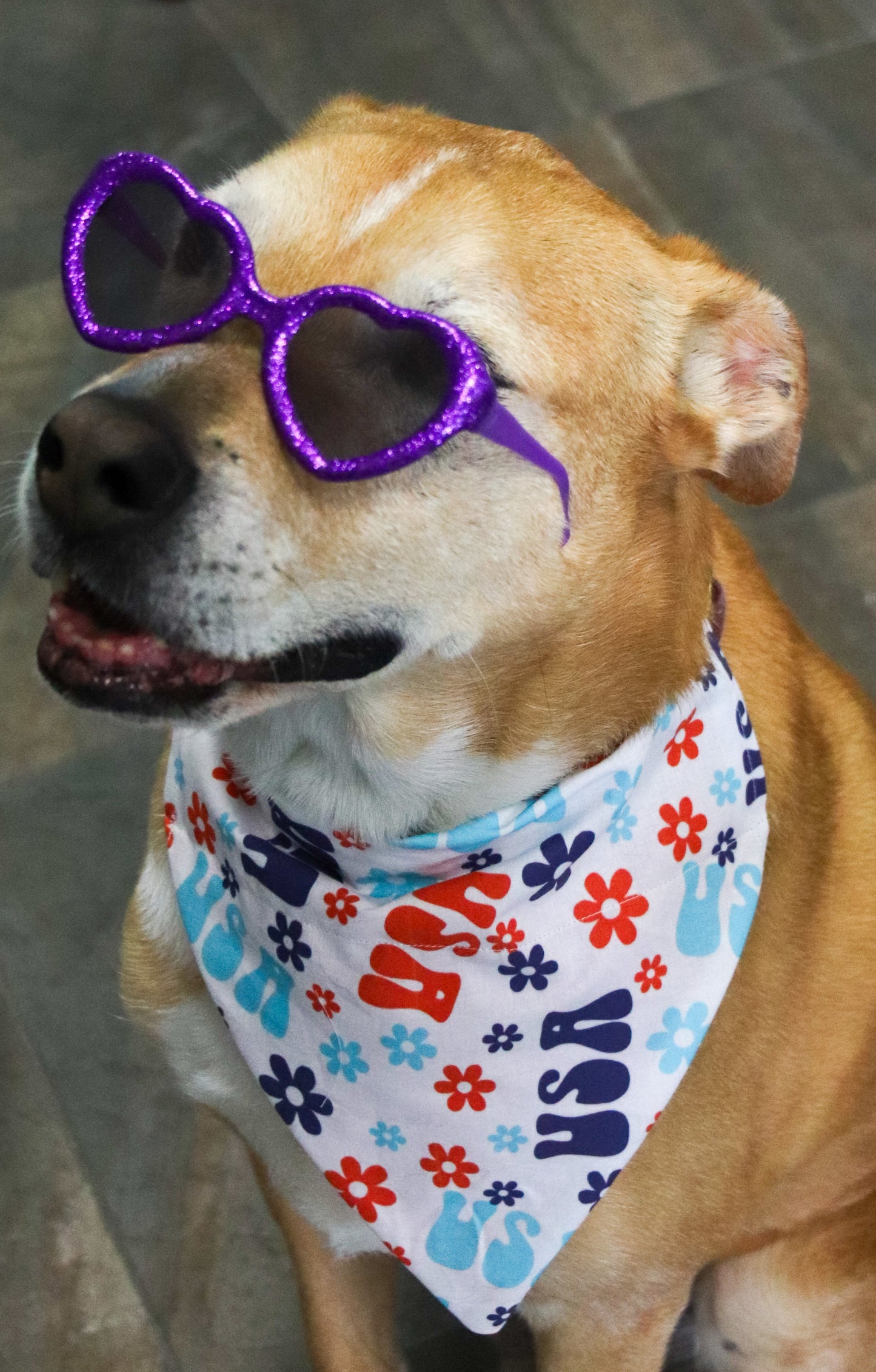 4th Of July Floral Bandana