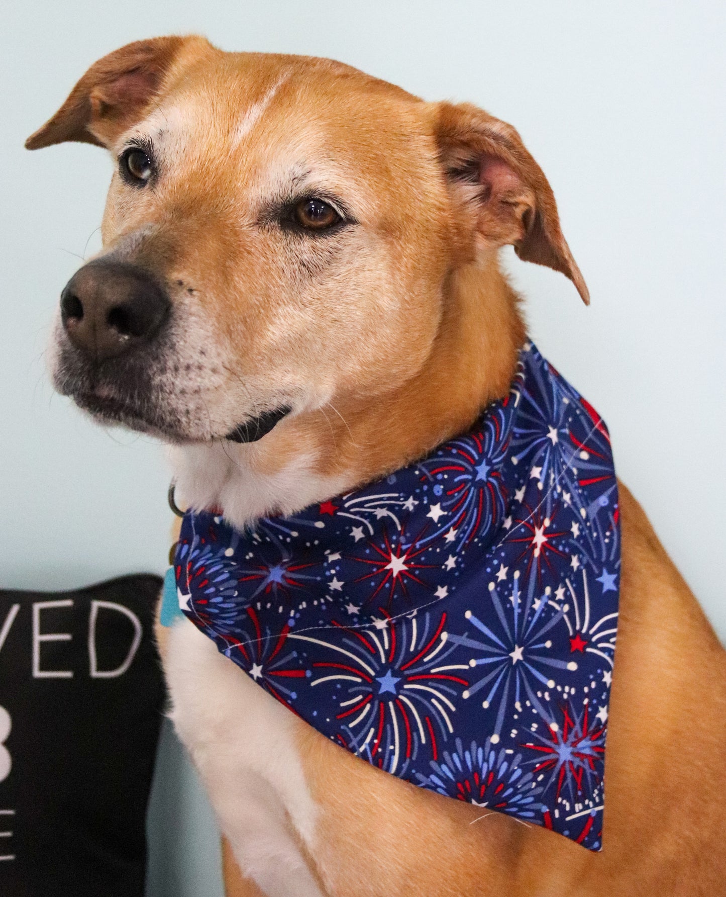 4th Of July Fireworks Bandana