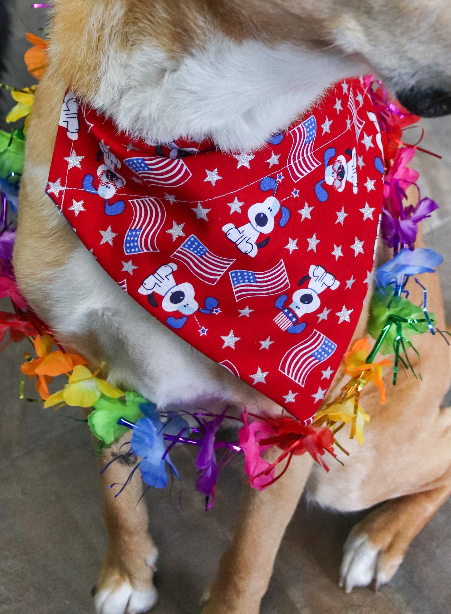 4th Of July Dog Bandana