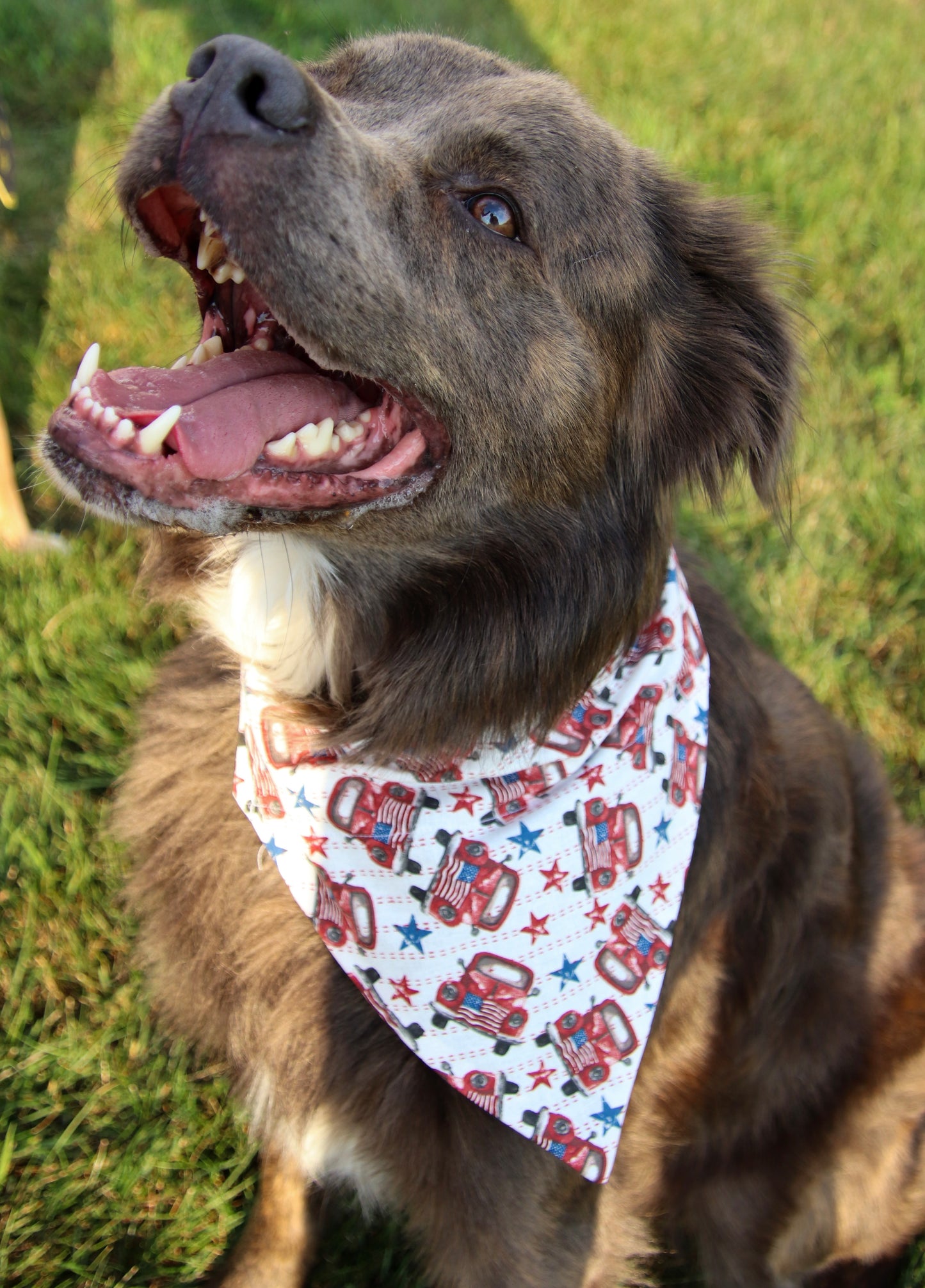 Red, White & Blue Vintage Trucks Bandana