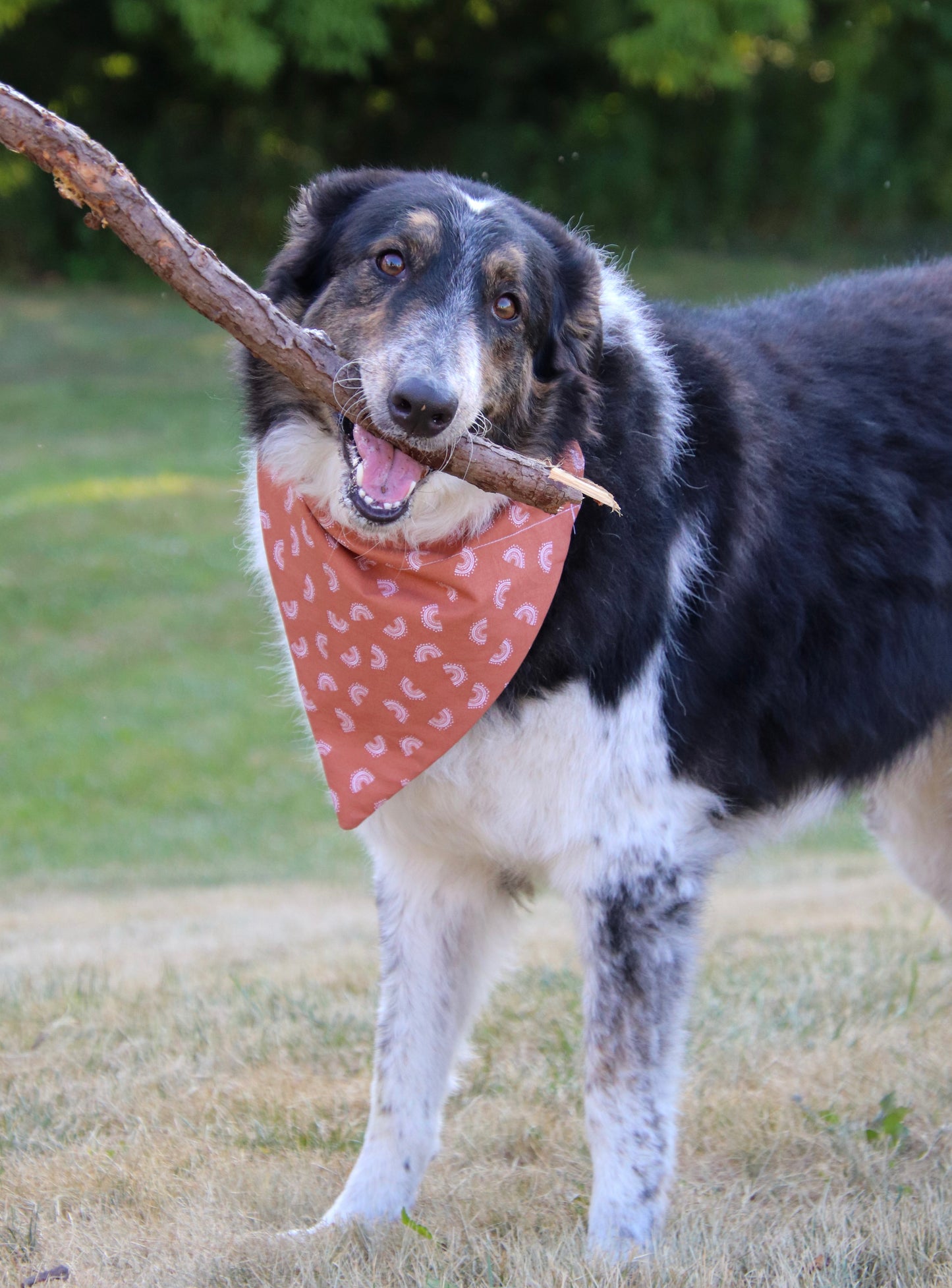 Burnt Orange Rainbow Bandana