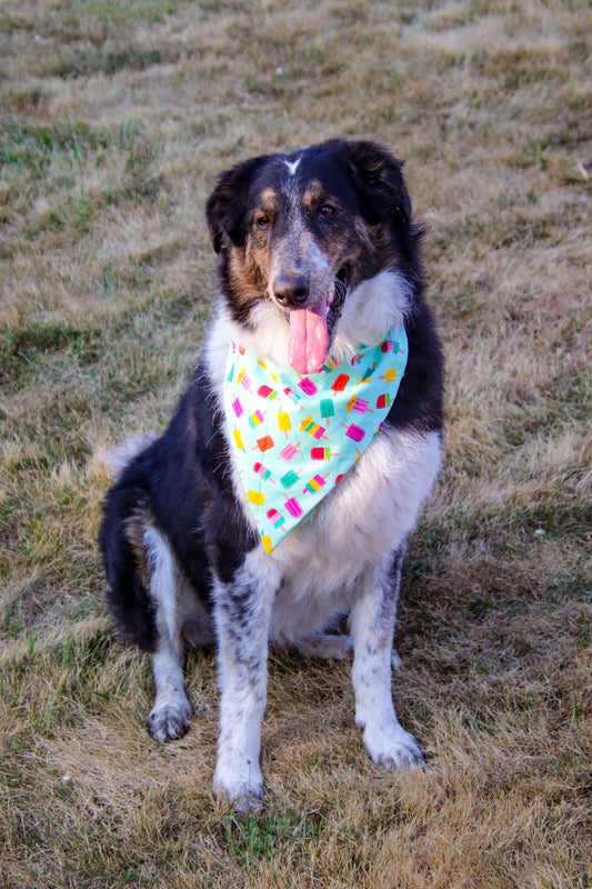Popsicle Bandana