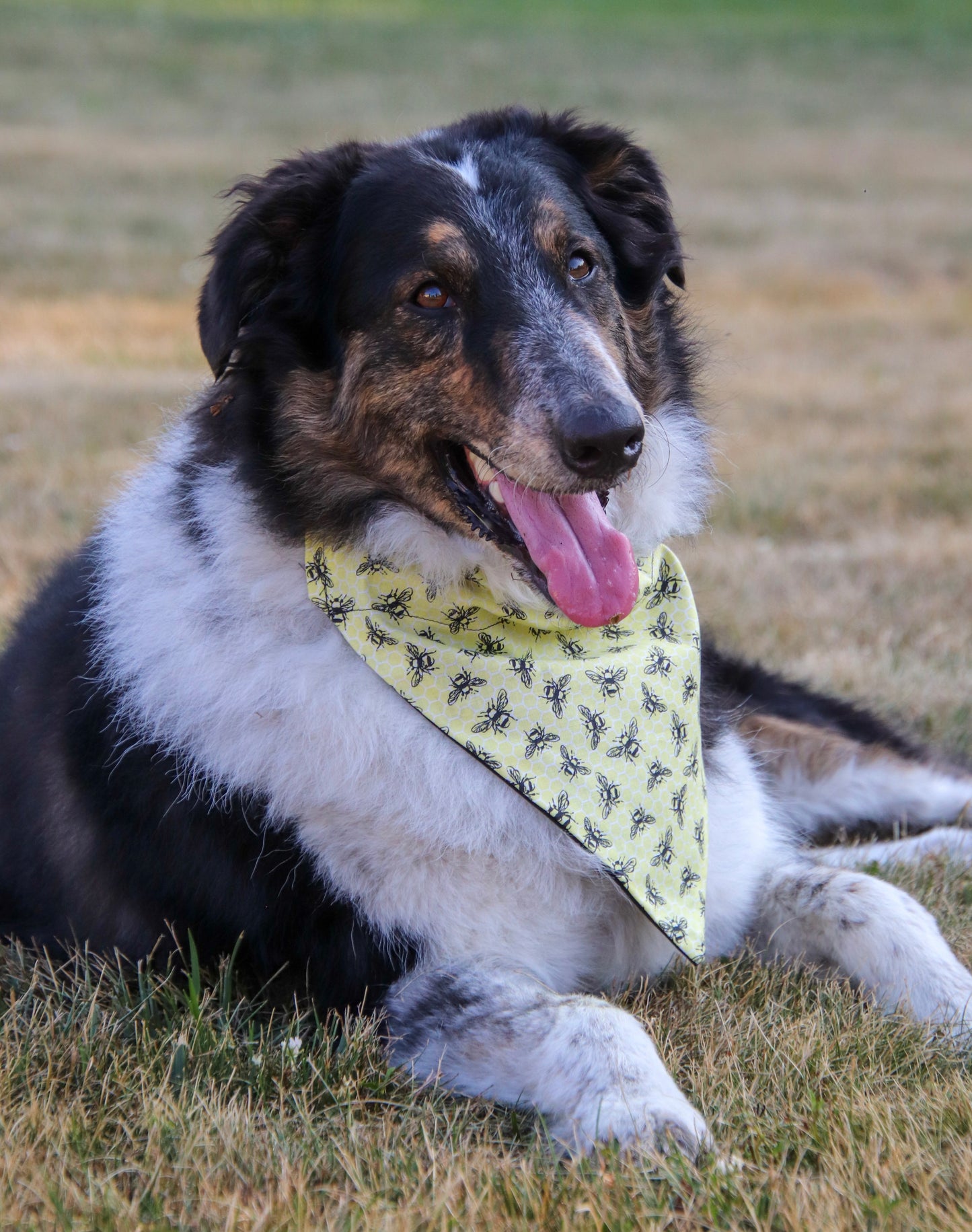 Yellow Bee Bandana