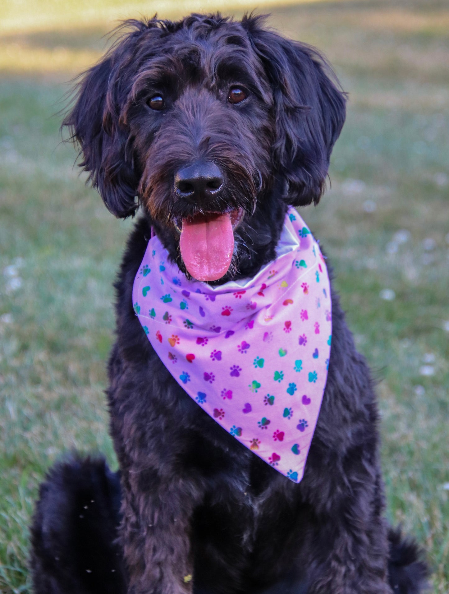 Purple Rainbow Pawprint Bandana