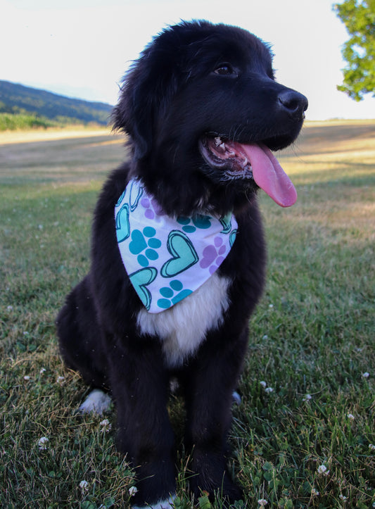 Fuzzy Heart Bandana