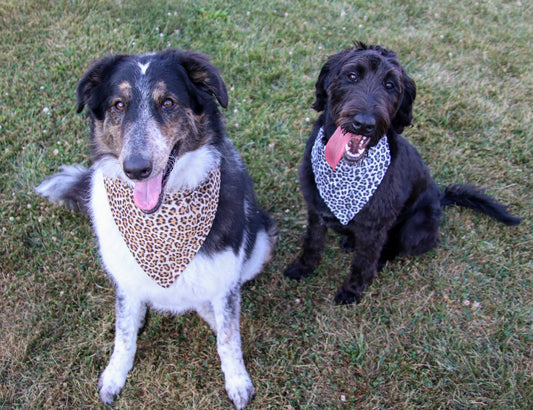 Gray Cheetah Bandana