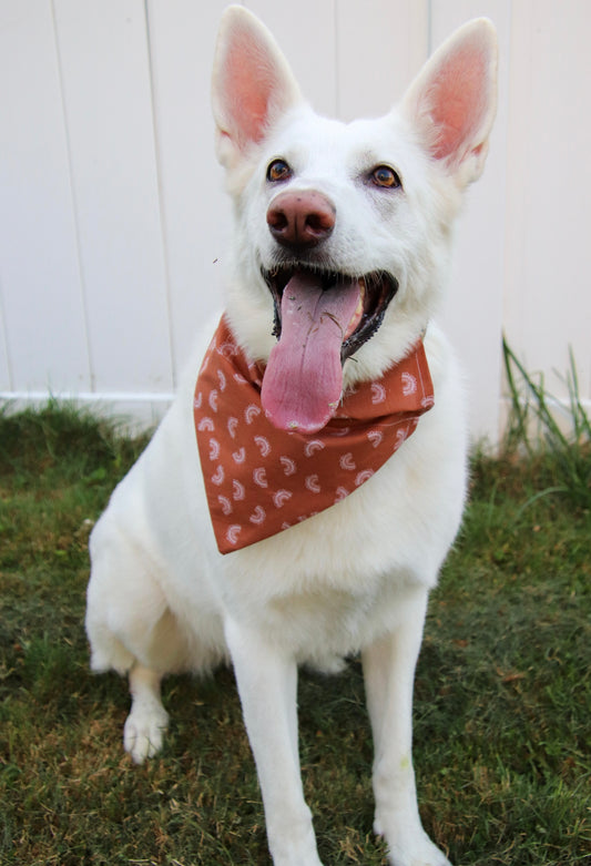 Burnt Orange Rainbow Bandana