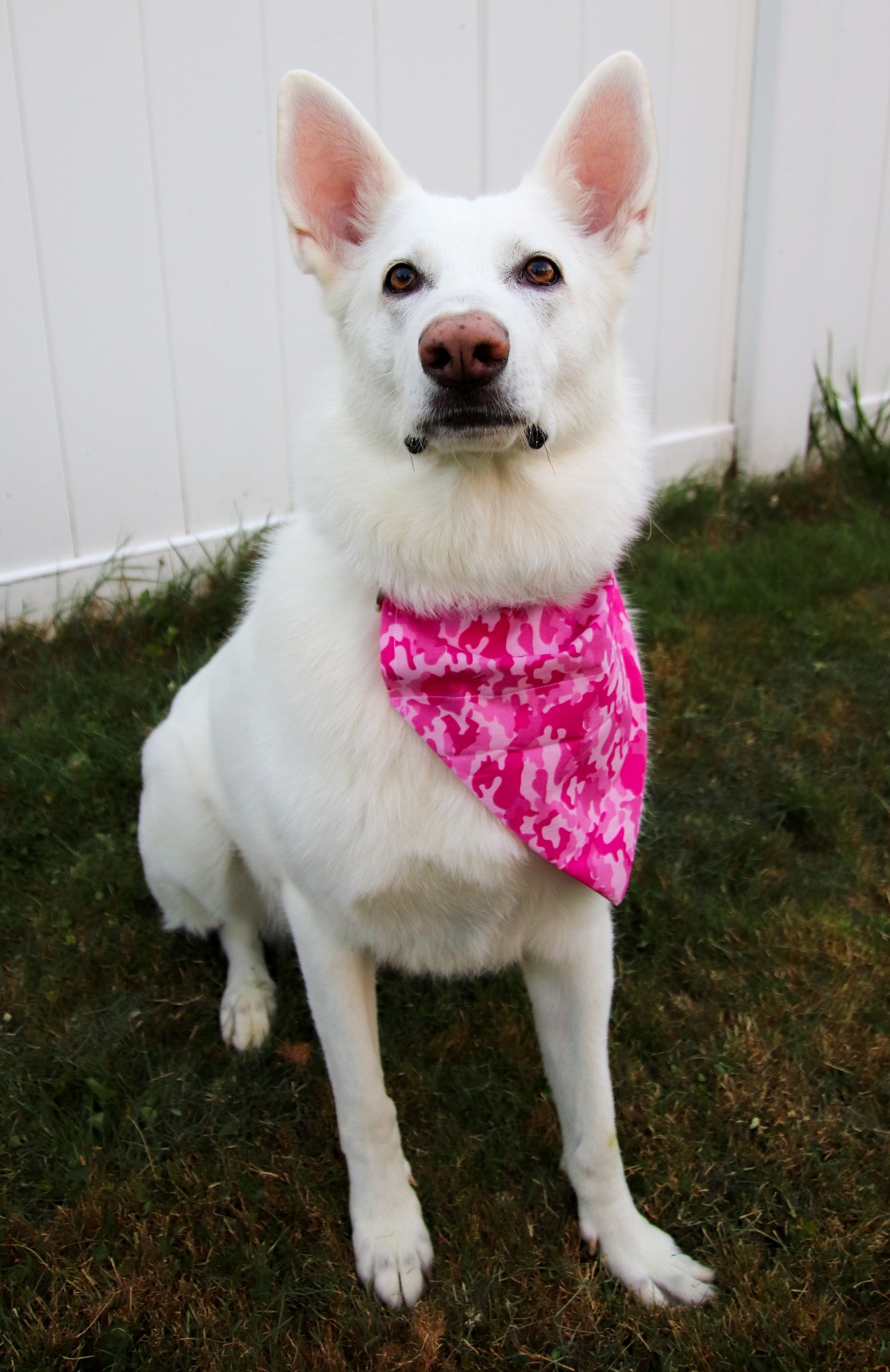 Small Pink Camo Bandana