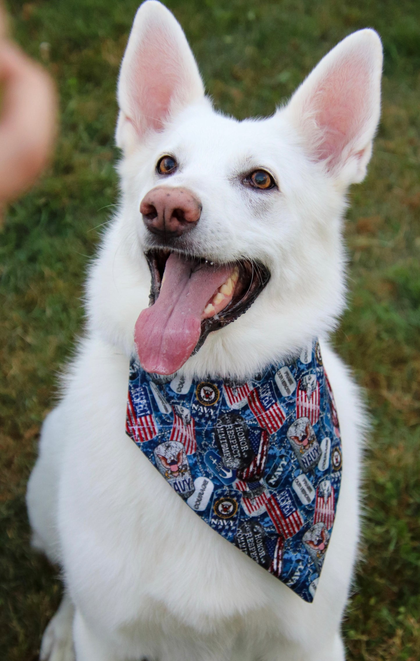 US Navy Bandana