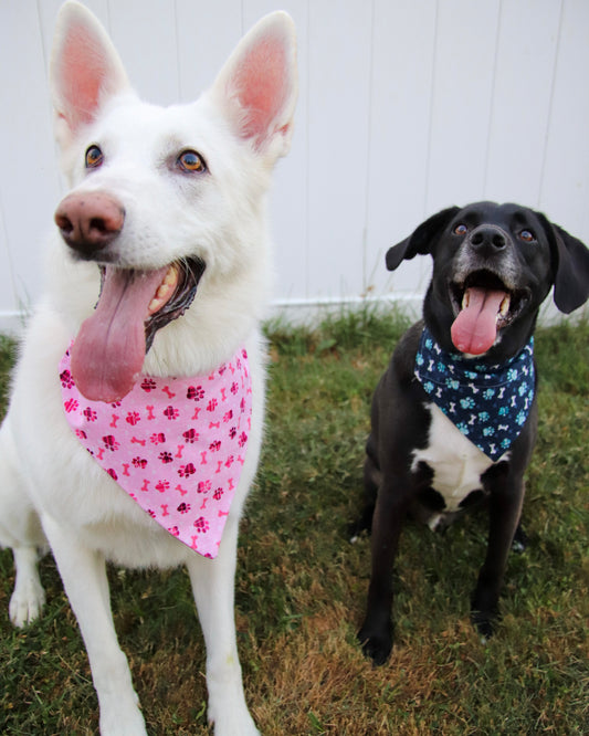 Pink Pawprint Bandana